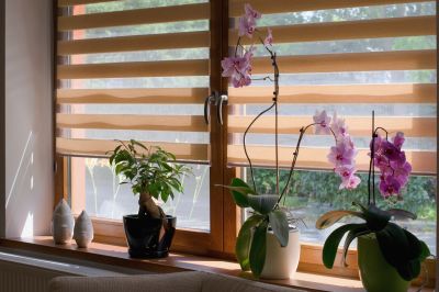 Interior Shutters Installation in Longmont, CO