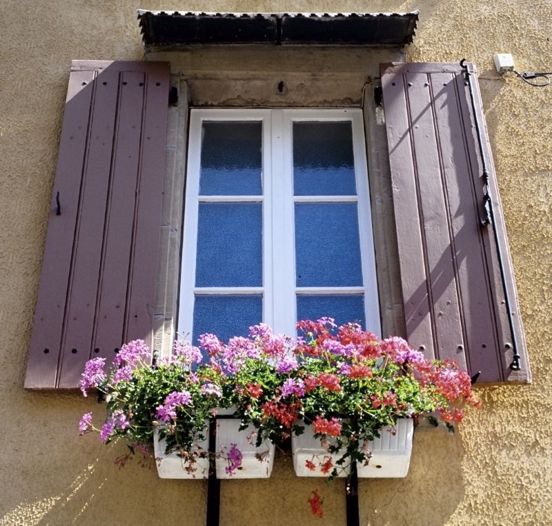 Shutter Repair in Denver County, CO