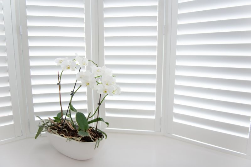 Window Shutter Installation in Littleton, CO